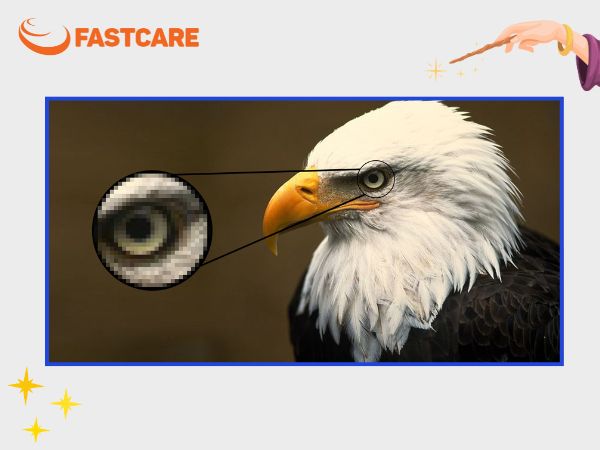 fastcare-topaz-gigapixel-ai-2-8de080e5.jpg