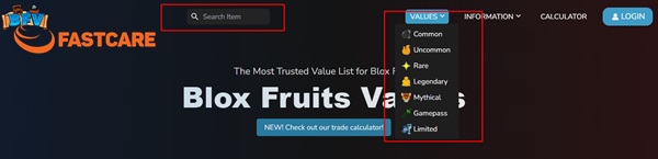 Blox Fruit Value