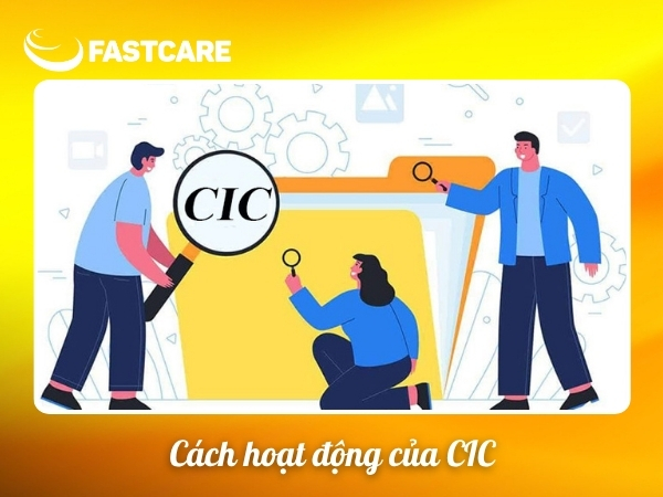  check cic