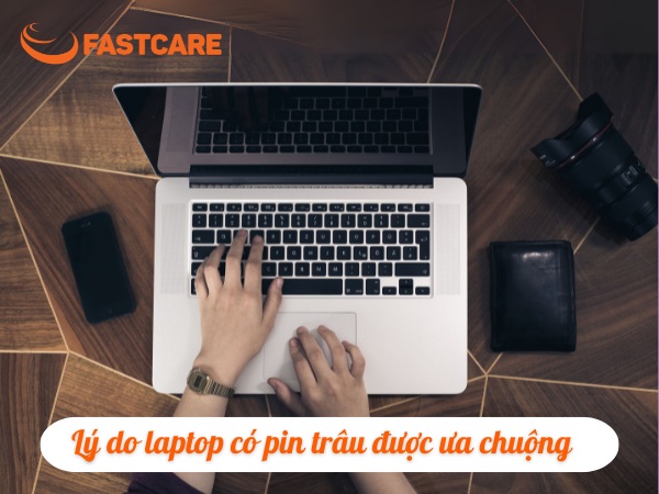  laptop pin trâu
