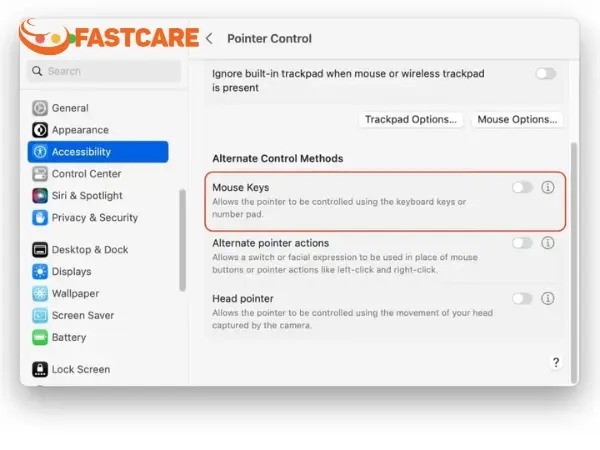 bàn phím MacBook không gõ được
