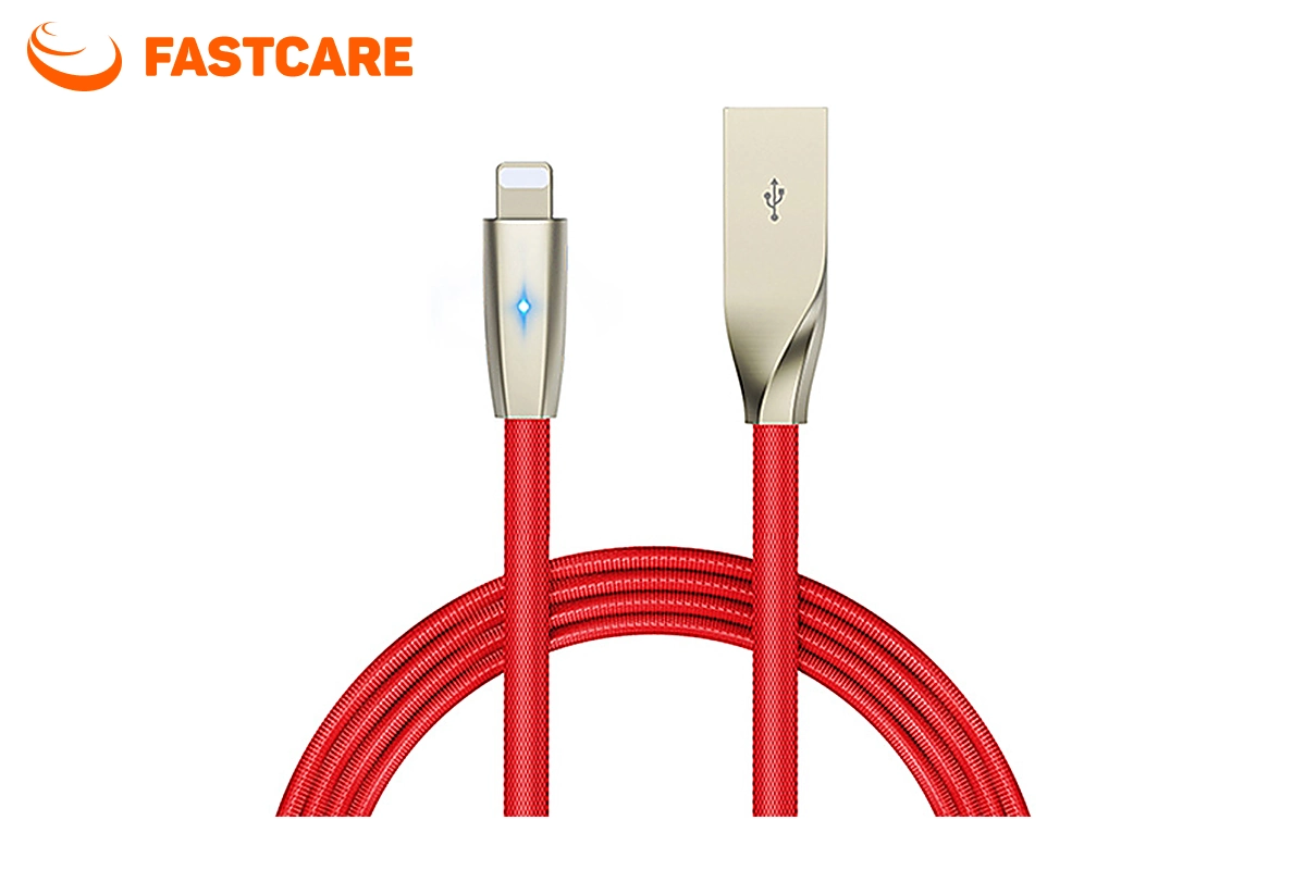 Cáp sạc Pisen Lightning Z in C - hình 1